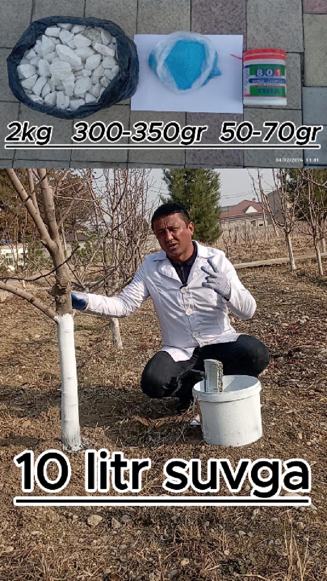 Daraxatlarni oqlash qoidalari